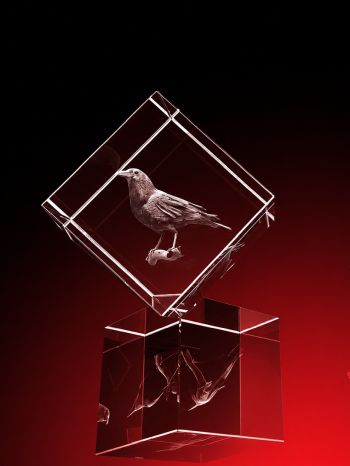 strahlend, LEDs, glasbild, geschenkidee, fotogeschenk, GLASFOTO.COM